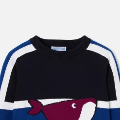 Pull, Sweat Et Cardigan-Jacadi Pull enfant garçon - MARINE/BLEU